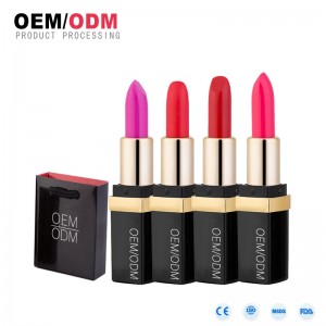 Private label high quality waterproof matte long lasting lipstick